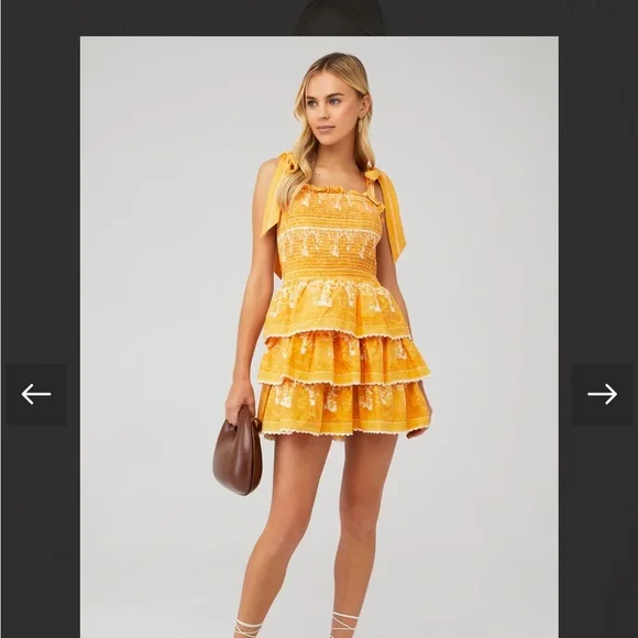 Cleobella Eliana Mini Dress Coastal Print Yellow Tiered Boho Size Small - Picture 2 of 6